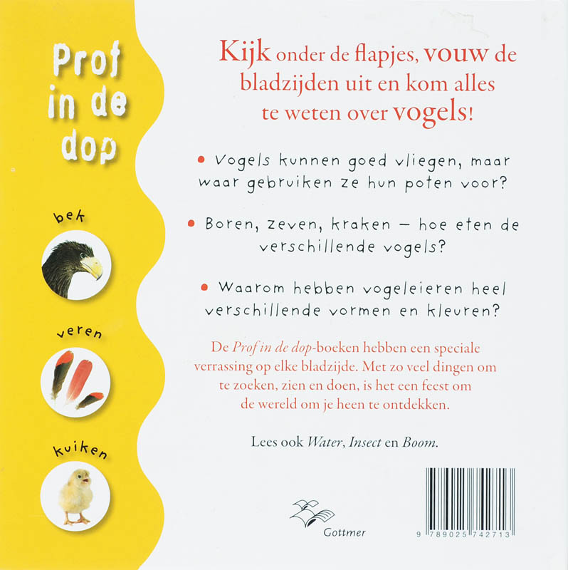 Achterkant van Vogel