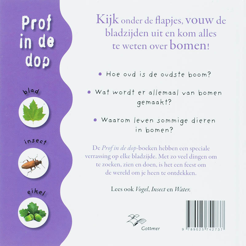 Achterkant van Boom
