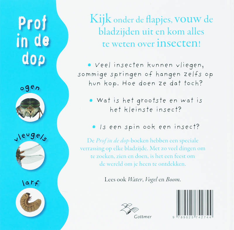 Achterkant van Insect