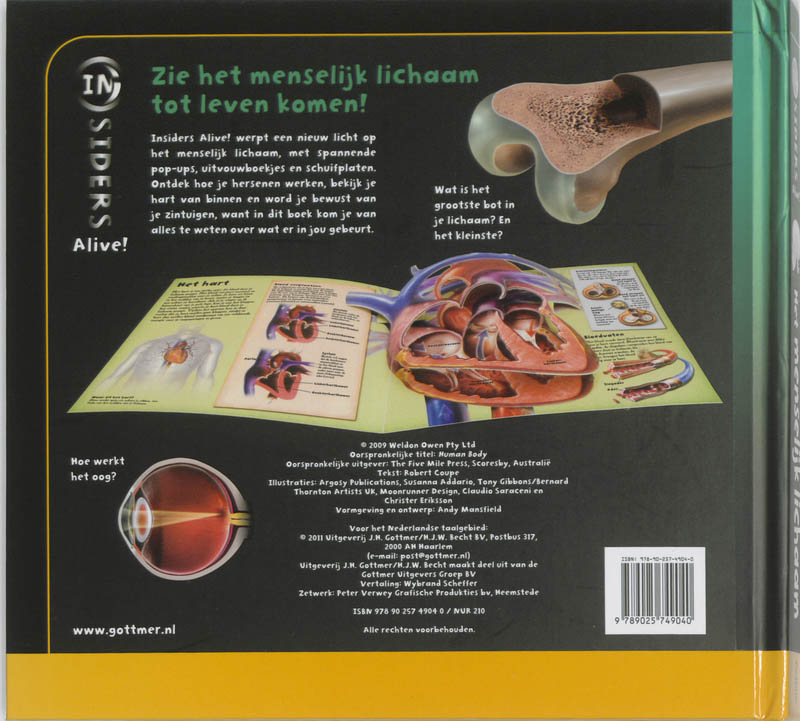 Achterkant van Menselijk lichaam