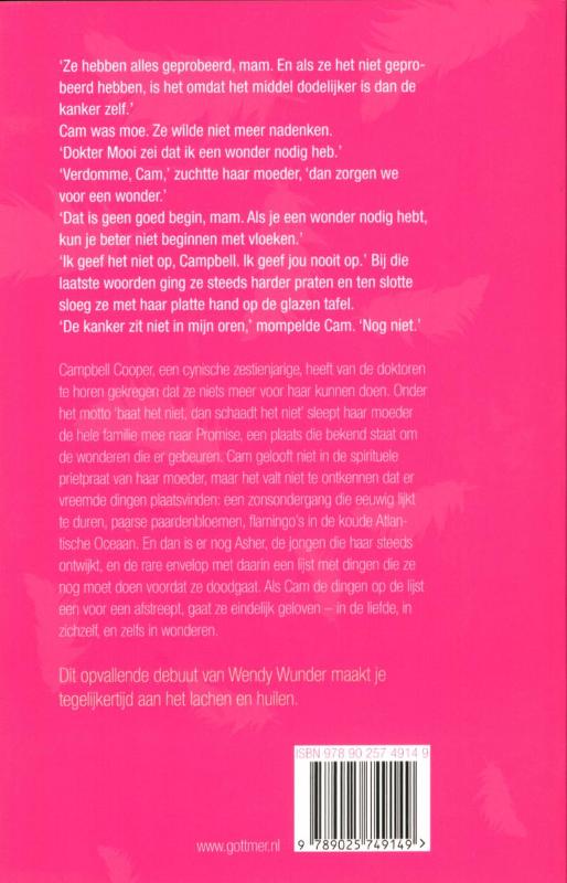 Achterkant van Als flamingo's op het schoolplein staan