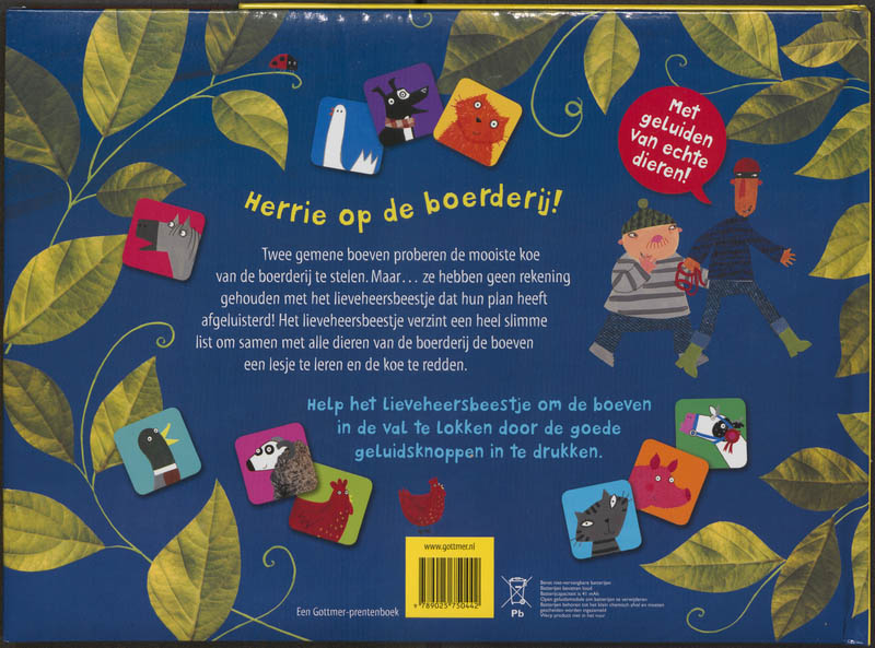 Achterkant van Wat het lieveheersbeestje hoorde
