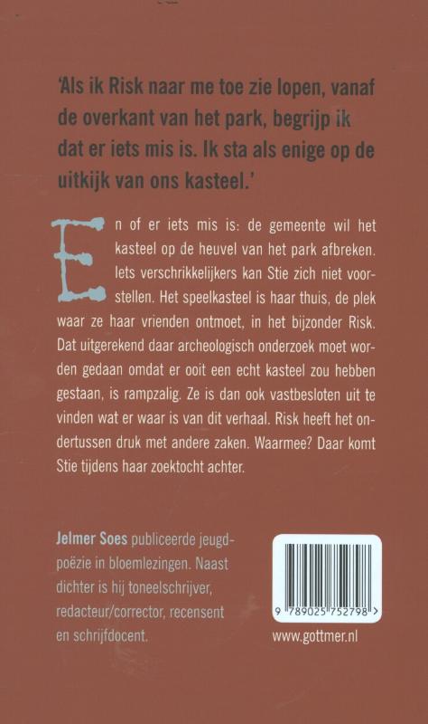 Achterkant van Risk