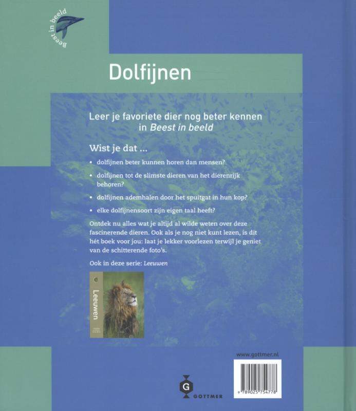 Achterkant van Dolfijnen