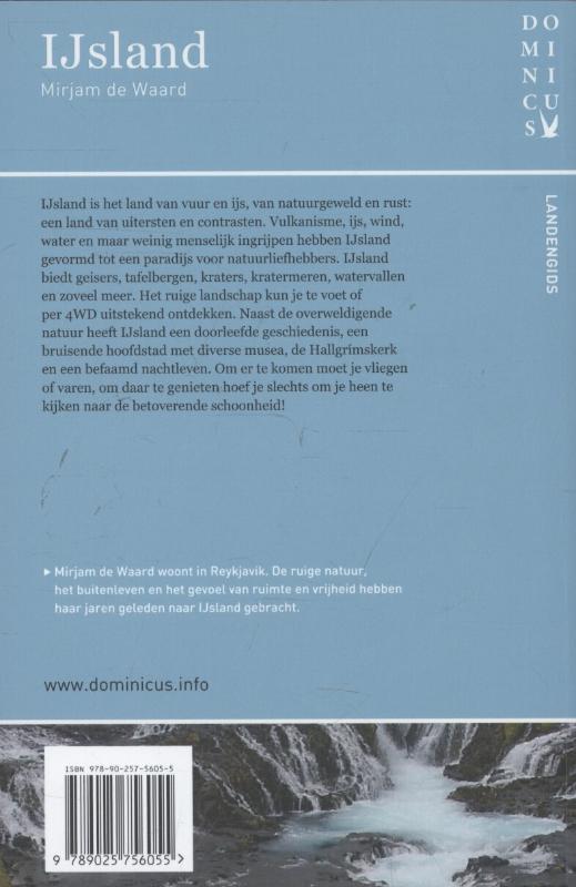 Achterkant van IJsland