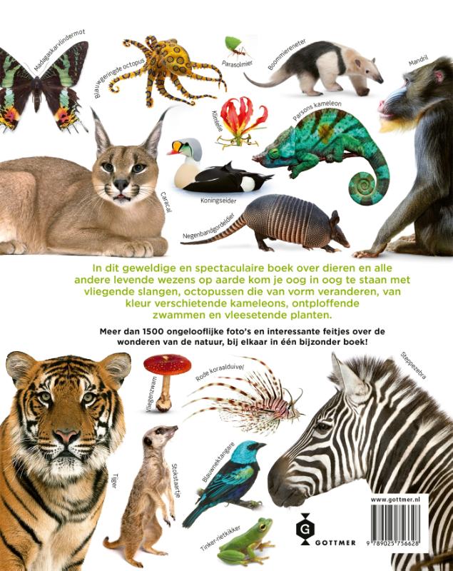 Achterkant van Het dierenboek