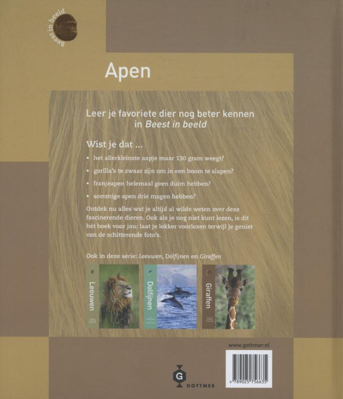 Achterkant van Apen