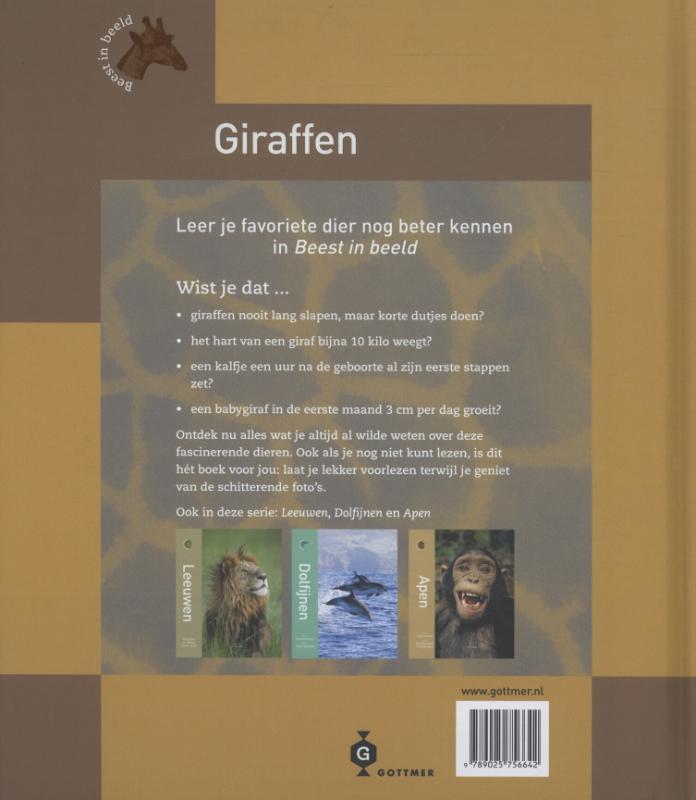 Achterkant van Giraffen
