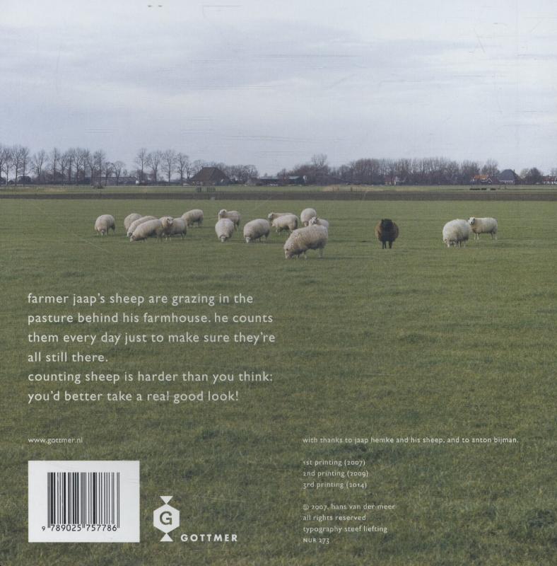 Achterkant van Counting sheep