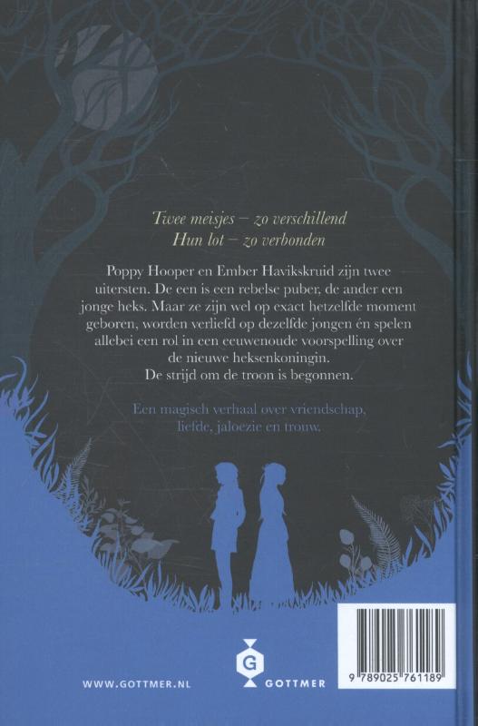 Achterkant van Havikskruid