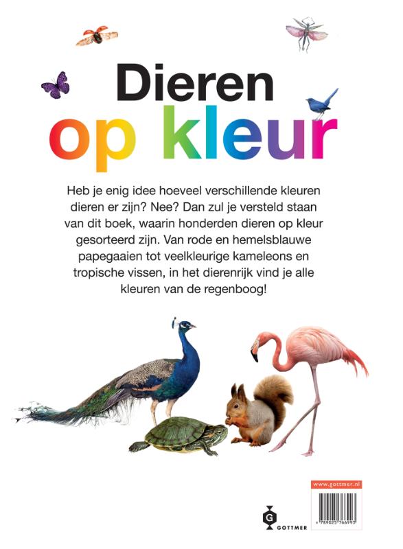 Achterkant van Dieren op kleur