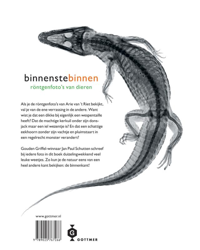 Achterkant van Binnenstebinnen