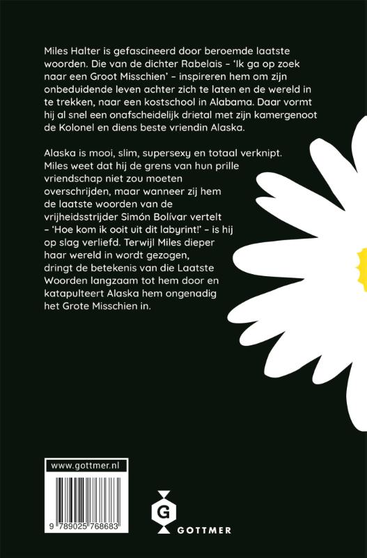 Achterkant van Het grote misschien