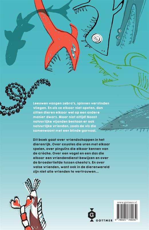 Achterkant van De grondel & de garnaal