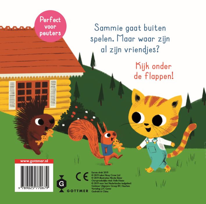Achterkant van Hallo huis