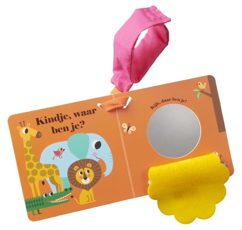 Achterkant van Leeuw, waar ben je? buggyboekje