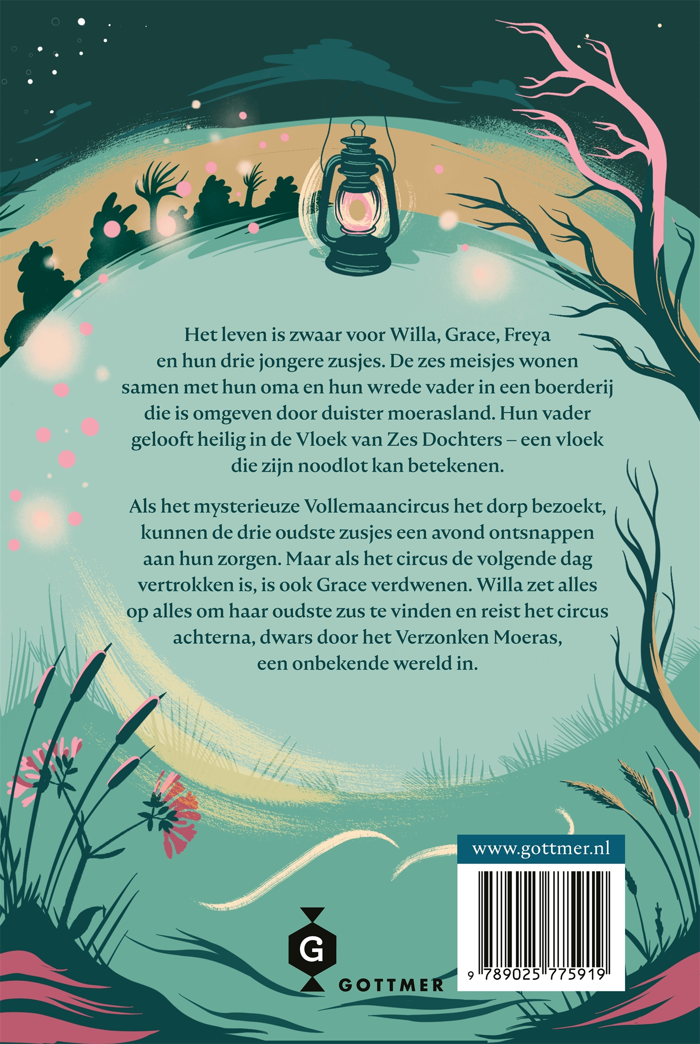 Achterkant van De zusjes uit het Verzonken Moeras