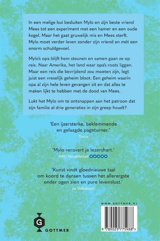 Achterkant van Patroon