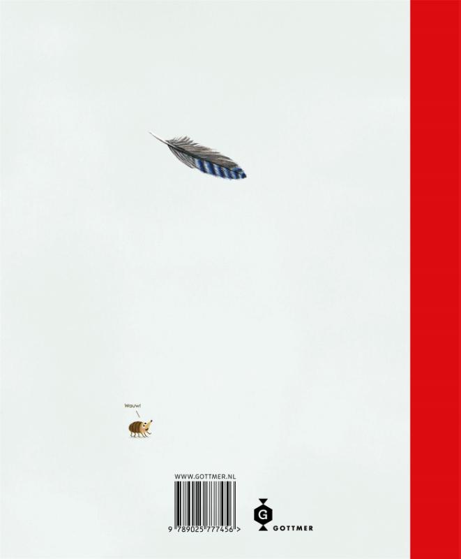 Achterkant van Het Kabouterboek