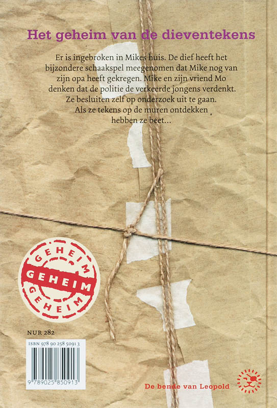 Achterkant van Het geheim van de dieventekens