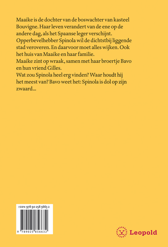Achterkant van Het verdwenen zwaard