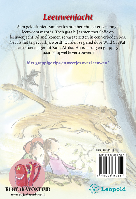Achterkant van Leeuwenjacht