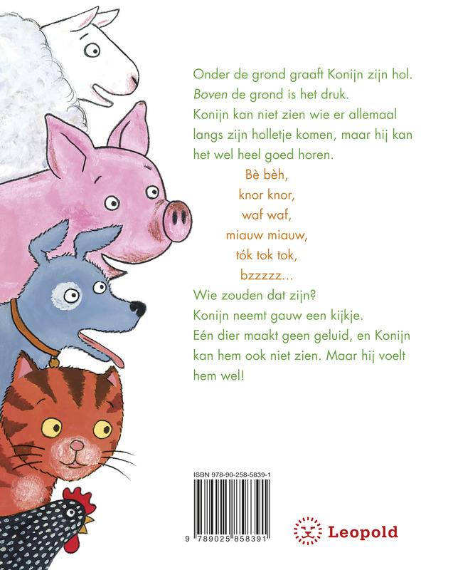Achterkant van Wat hoort Konijn?