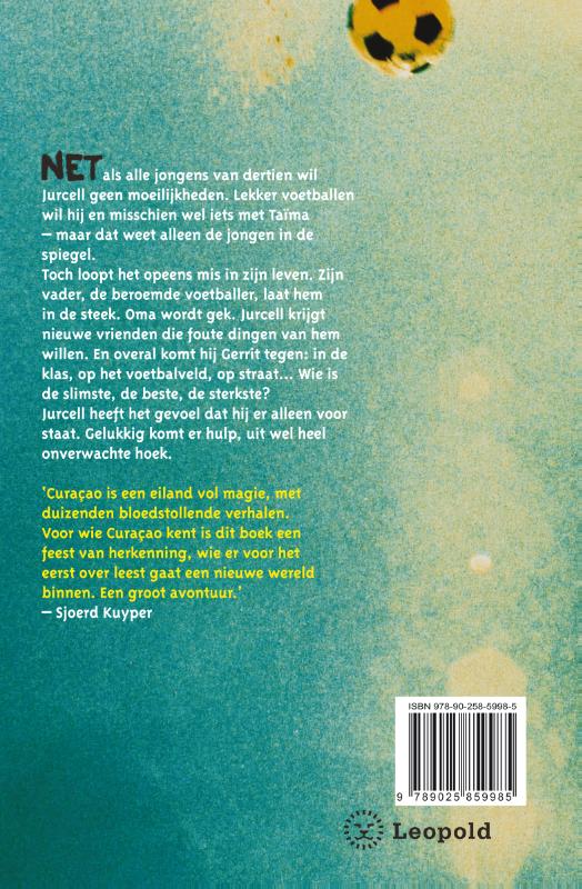 Achterkant van Vuurwerk in mijn hoofd