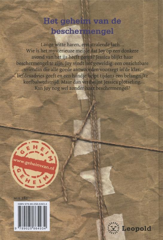 Achterkant van Het geheim van de beschermengel