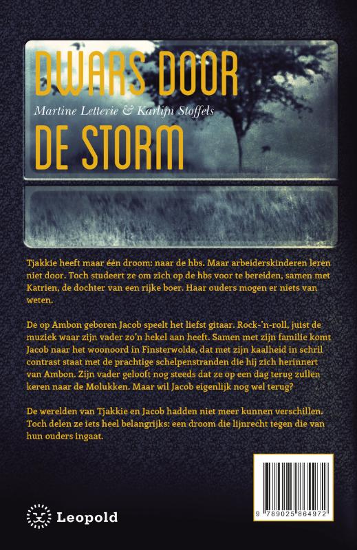 Achterkant van Dwars door de storm