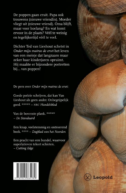 Achterkant van Onder mijn matras de erwt
