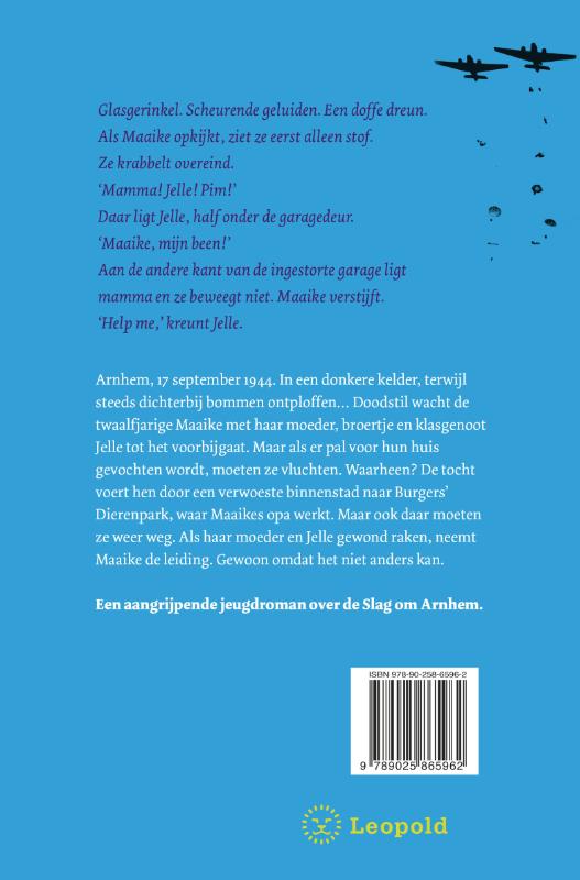 Achterkant van Nergens meer veilig