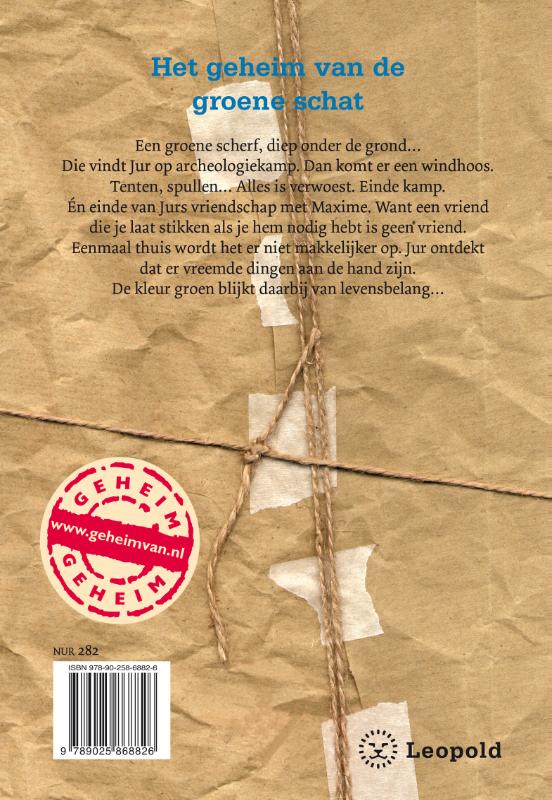 Achterkant van Het geheim van de groene schat