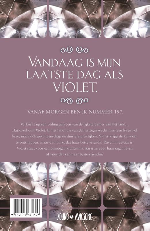 Achterkant van The jewel