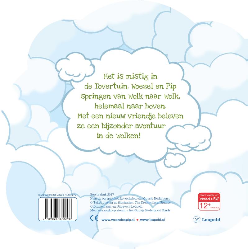 Achterkant van In de wolken