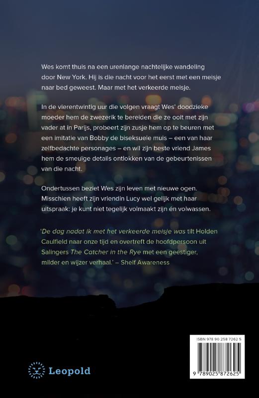 Achterkant van De dag nadat ik met het verkeerde meisje was