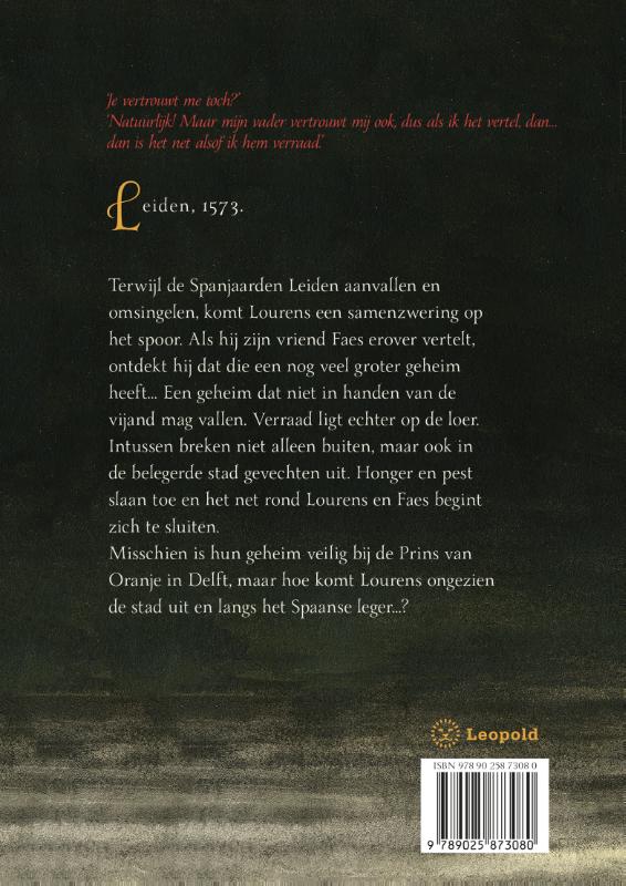 Achterkant van Het sleutelgeheim