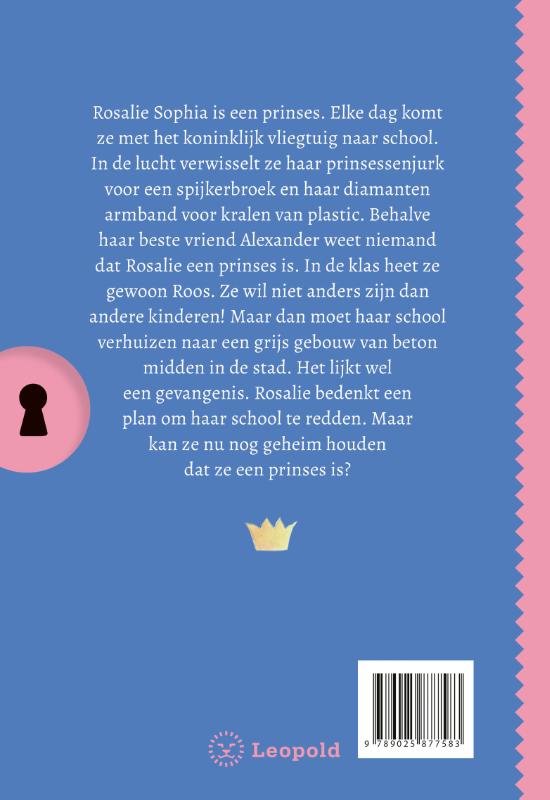 Achterkant van Het geheim van de stoere prinses