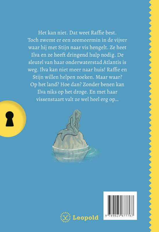 Achterkant van Het geheim van de zeemeermin