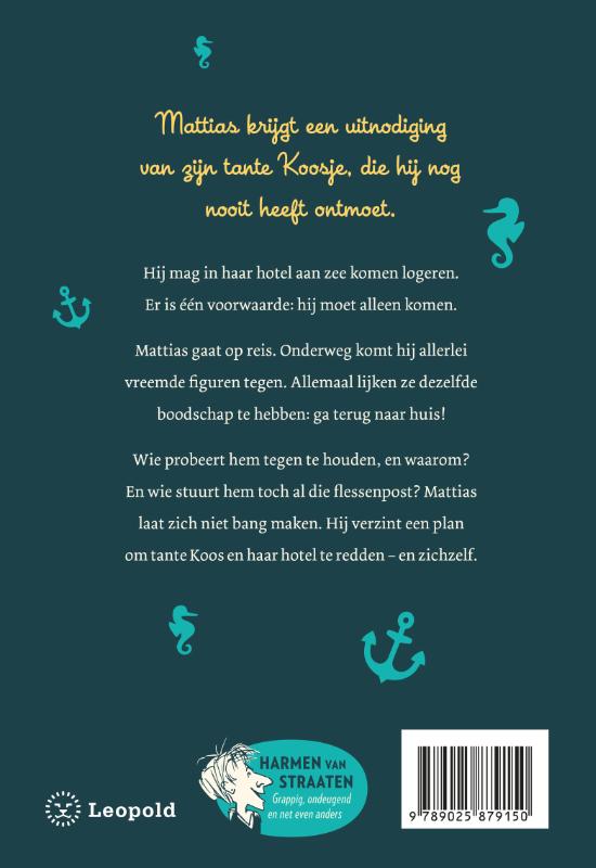 Achterkant van Het wonderbaarlijke scheepsjournaal van Mattias Spijker