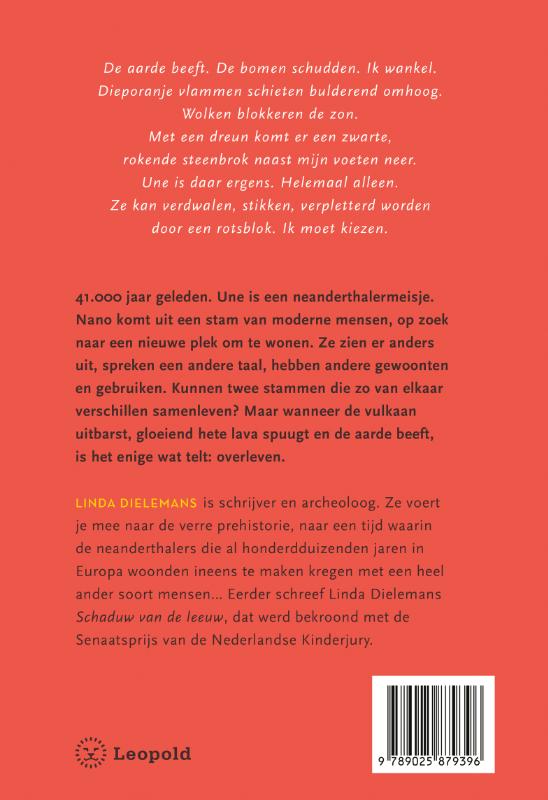 Achterkant van Het lied van de vreemdeling