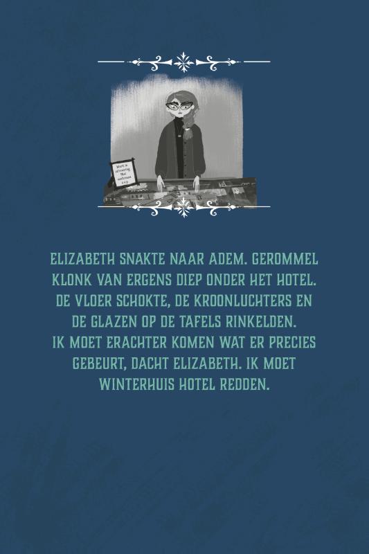 Achterkant van Het mysterie van Winterhuis Hotel