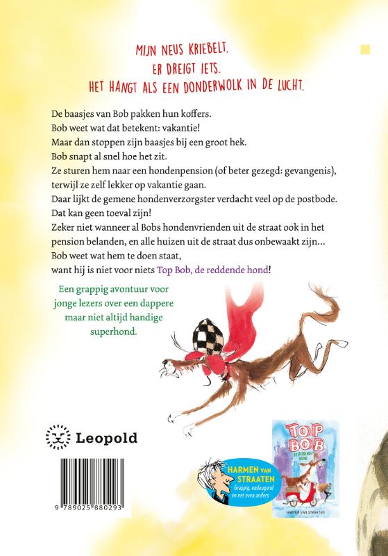 Achterkant van De grote ontsnapping
