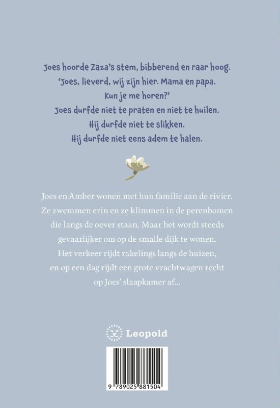 Achterkant van Het kleine huis bij de rivier