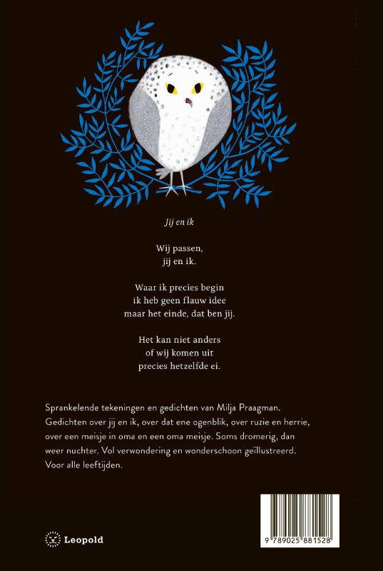 Achterkant van Magneetje