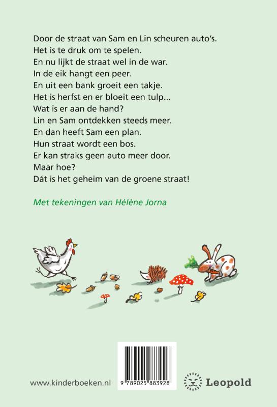Achterkant van Het geheim van de groene straat