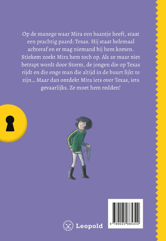 Achterkant van Het geheim van het verdwenen paard