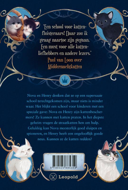 Achterkant van De strijd van de straatkatten