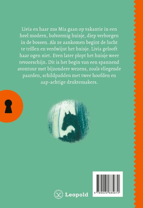 Achterkant van Het geheim van het verdwenen huis