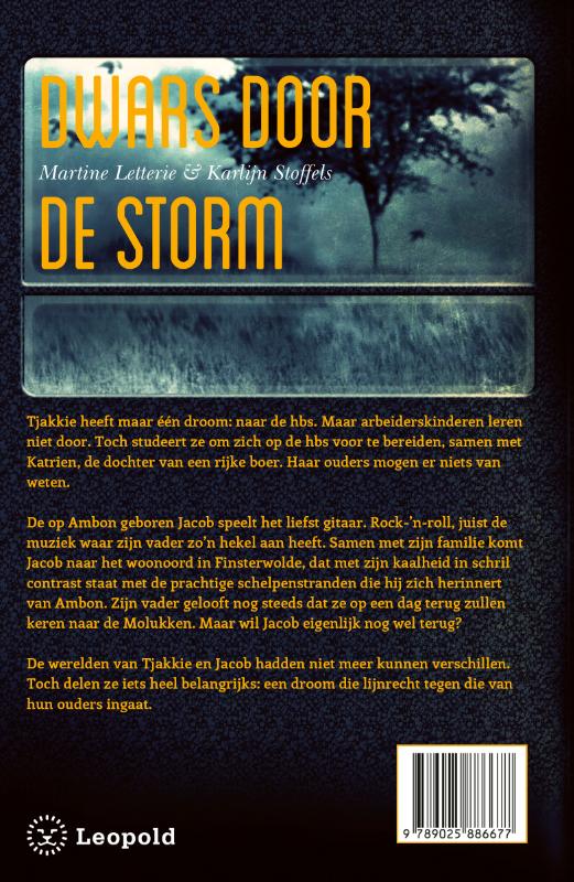 Achterkant van Dwars door de storm